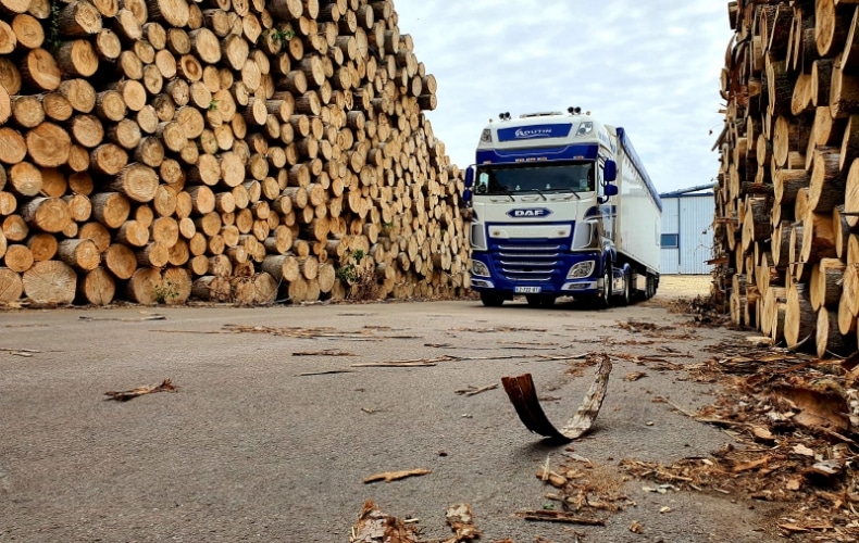 Camion De Livraison Avec Boîtes En Carton Et Transport Routier